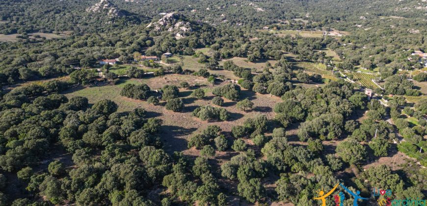 Land For Sale Olbia Sardinia ref AratMann