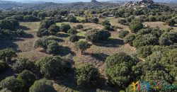 Land For Sale Olbia Sardinia ref AratMann