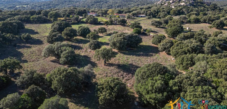 Land For Sale Olbia Sardinia ref AratMann