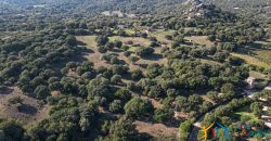 Land For Sale Olbia Sardinia ref AratMann