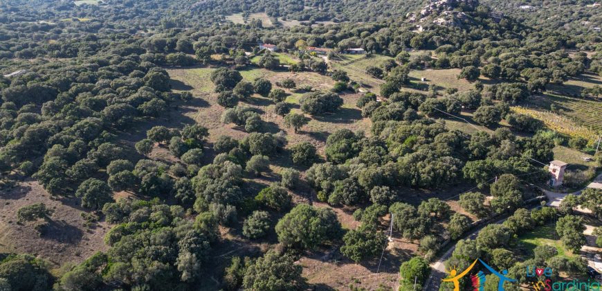 Land For Sale Olbia Sardinia ref AratMann