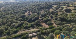 Land For Sale Olbia Sardinia ref AratMann