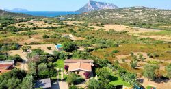 Properties For Sale San Teodoro Sardinia ref Petrosu