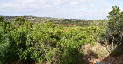 Properties For Sale San Teodoro Sardinia ref Petrosu