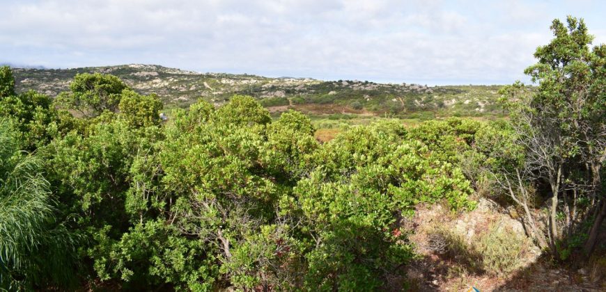 Properties For Sale San Teodoro Sardinia ref Petrosu