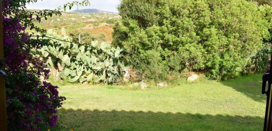 Properties For Sale San Teodoro Sardinia ref Petrosu