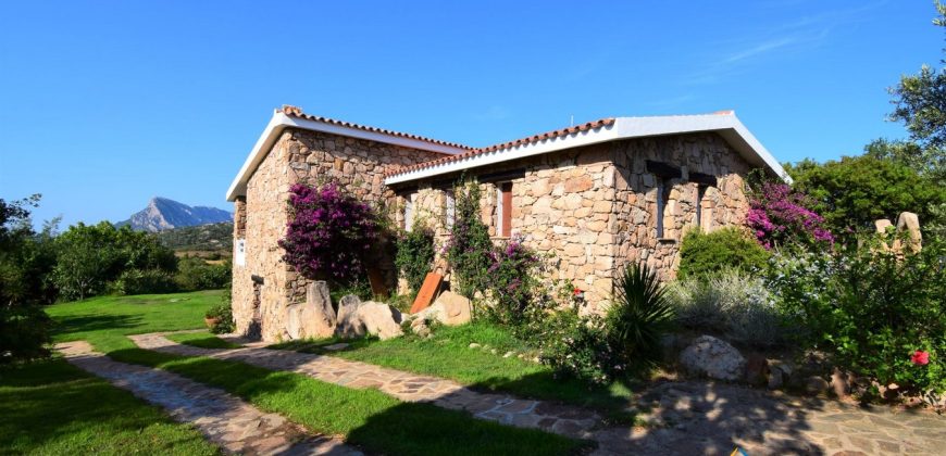 Properties For Sale San Teodoro Sardinia ref Petrosu