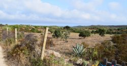 Properties For Sale San Teodoro Sardinia ref Petrosu