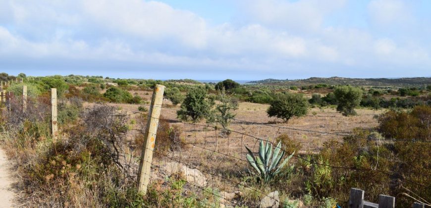 Properties For Sale San Teodoro Sardinia ref Petrosu