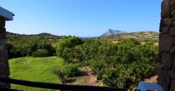 Properties For Sale San Teodoro Sardinia ref Petrosu