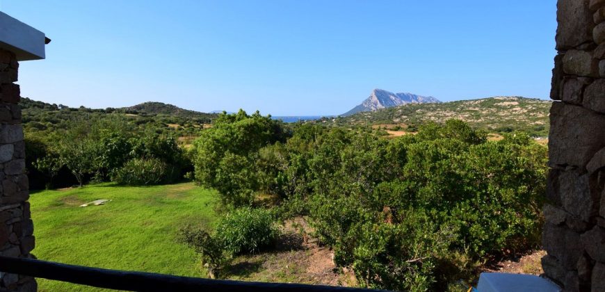 Properties For Sale San Teodoro Sardinia ref Petrosu