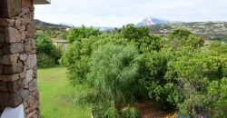 Properties For Sale San Teodoro Sardinia ref Petrosu