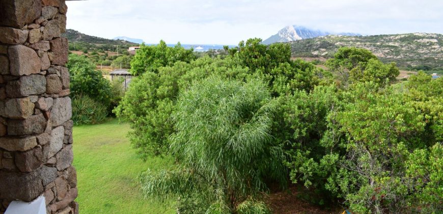 Properties For Sale San Teodoro Sardinia ref Petrosu