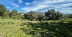 Buildable Land For Sale Olbia ref Teggja Di L’ea