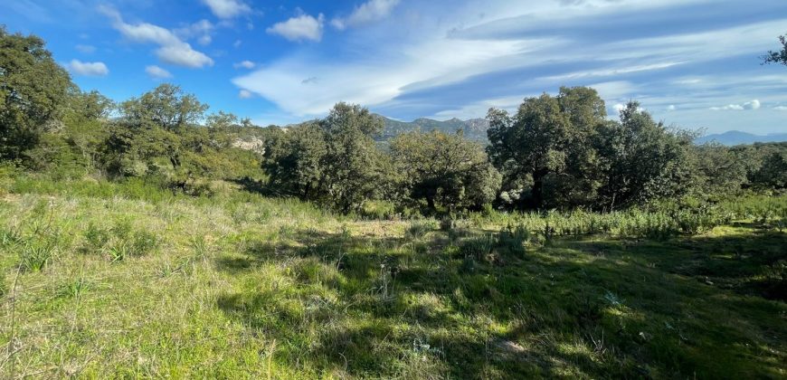 Buildable Land For Sale Olbia ref Teggja Di L’ea