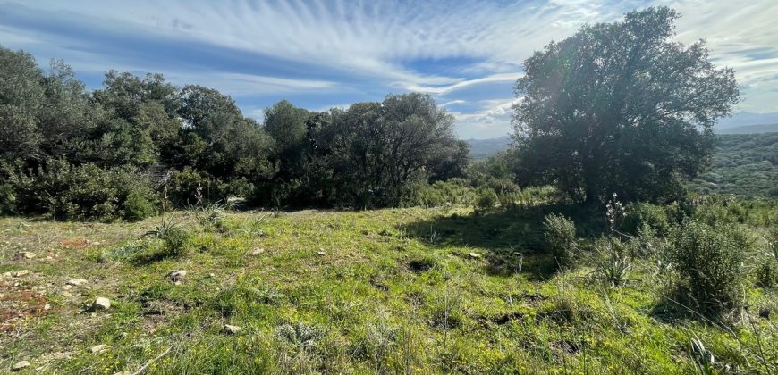 Buildable Land For Sale Olbia ref Teggja Di L’ea