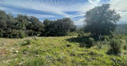 Buildable Land For Sale Olbia ref Teggja Di L’ea