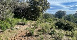 Buildable Land For Sale Olbia ref Teggja Di L’ea