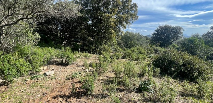 Buildable Land For Sale Olbia ref Teggja Di L’ea