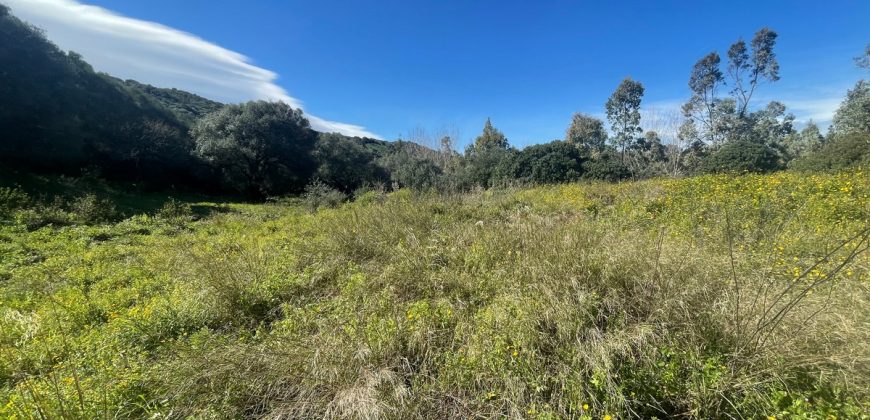 Buildable Land For Sale Olbia ref Teggja Di L’ea