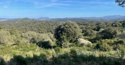 Buildable Land For Sale Olbia ref Teggja Di L’ea