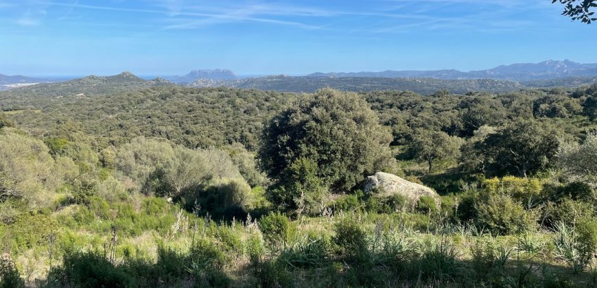 Buildable Land For Sale Olbia ref Teggja Di L’ea