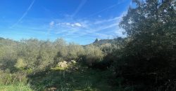 Buildable Land For Sale Olbia ref Teggja Di L’ea