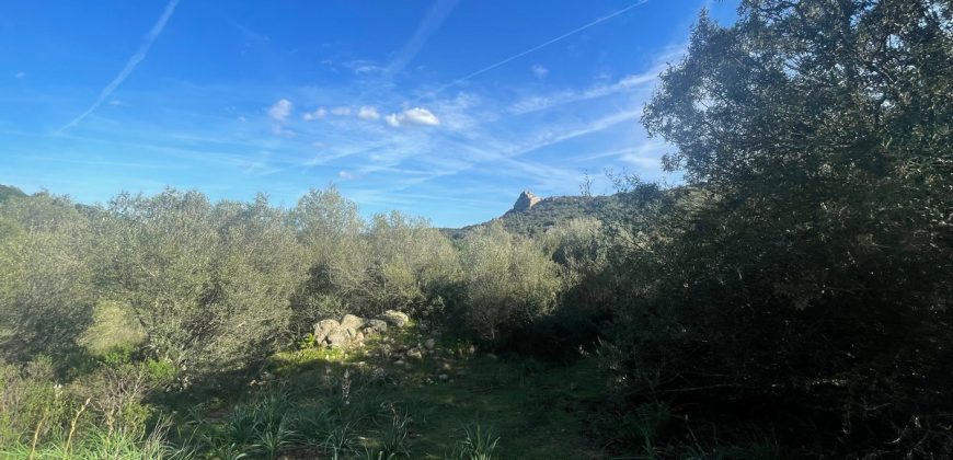 Buildable Land For Sale Olbia ref Teggja Di L’ea