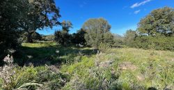 Buildable Land For Sale Olbia ref Teggja Di L’ea