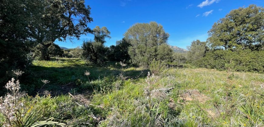 Buildable Land For Sale Olbia ref Teggja Di L’ea