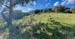 Buildable Land For Sale Olbia ref Teggja Di L’ea