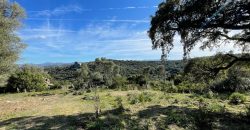 Buildable Land For Sale Olbia ref Teggja Di L’ea