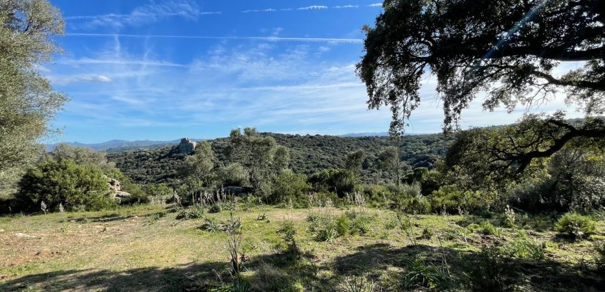 Buildable Land For Sale Olbia ref Teggja Di L’ea