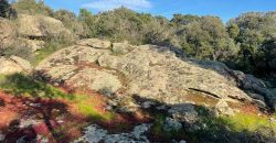 Buildable Land For Sale Olbia ref Teggja Di L’ea