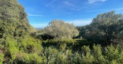 Buildable Land For Sale Olbia ref Teggja Di L’ea