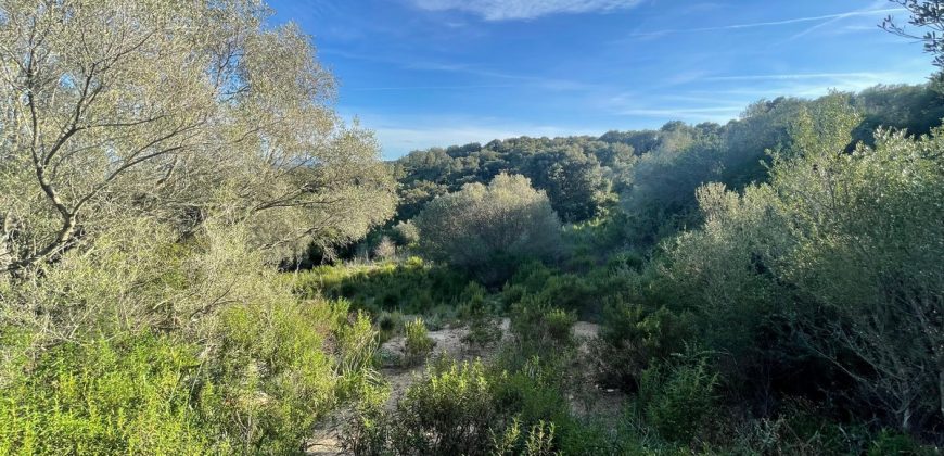 Buildable Land For Sale Olbia ref Teggja Di L’ea