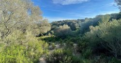 Buildable Land For Sale Olbia ref Teggja Di L’ea