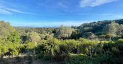 Buildable Land For Sale Olbia ref Teggja Di L’ea