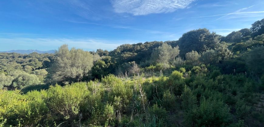 Buildable Land For Sale Olbia ref Teggja Di L’ea