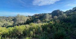 Buildable Land For Sale Olbia ref Teggja Di L’ea