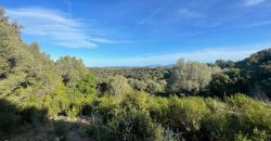 Buildable Land For Sale Olbia ref Teggja Di L’ea