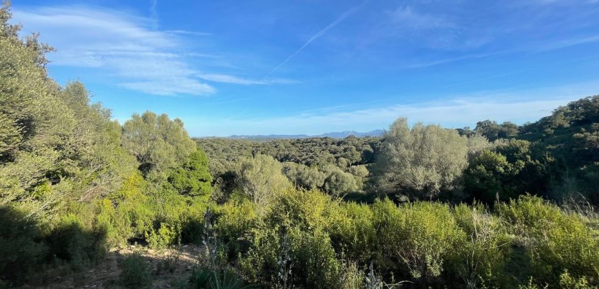 Buildable Land For Sale Olbia ref Teggja Di L’ea