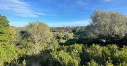 Buildable Land For Sale Olbia ref Teggja Di L’ea