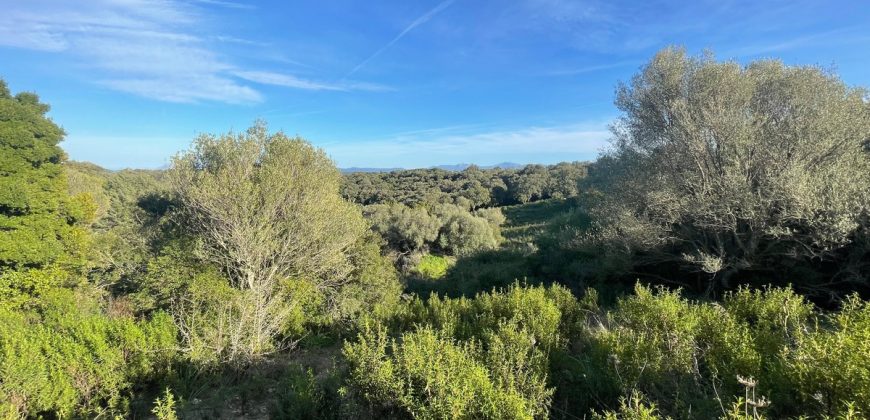 Buildable Land For Sale Olbia ref Teggja Di L’ea