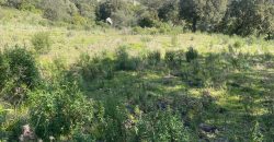 Buildable Land For Sale Olbia ref Teggja Di L’ea