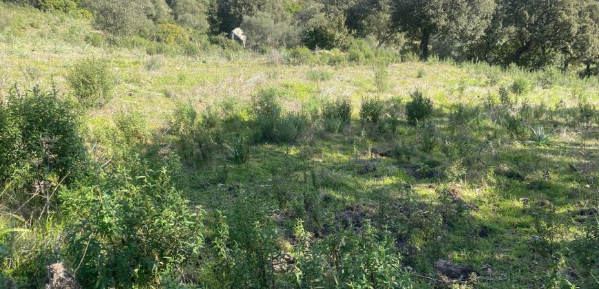 Buildable Land For Sale Olbia ref Teggja Di L’ea