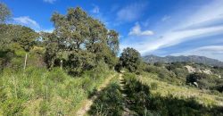 Buildable Land For Sale Olbia ref Teggja Di L’ea