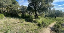 Buildable Land For Sale Olbia ref Teggja Di L’ea