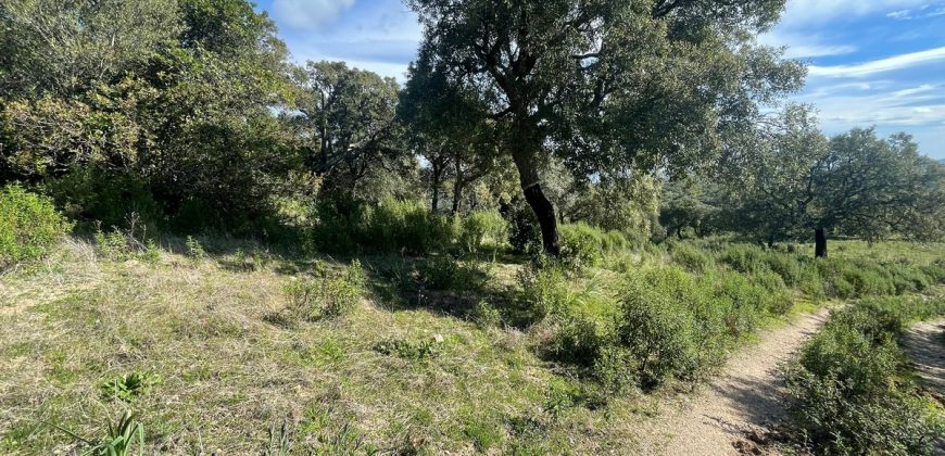 Buildable Land For Sale Olbia ref Teggja Di L’ea