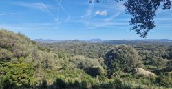 Buildable Land For Sale Olbia ref Teggja Di L’ea